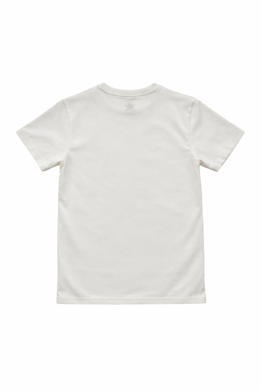 Motivos Mexicanos "Calaca"